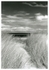 Nairn