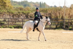SBM_009302