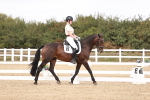 SBM_019213
