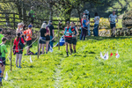 The Finish-573