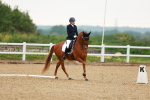 SBM_006302