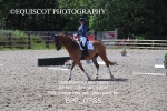 BPP_0785