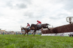 161125-Race 4-Lady Balko-3062