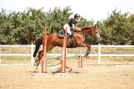 SBM_000591