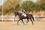SBM_016604