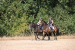 WJ6_7850
