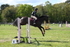 DSC_0839