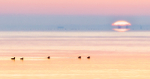 Spring Dawn--Inner Bay Long Point