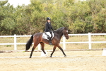 SBM_003612