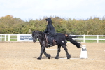 SBM_001036