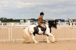 SBM_15658