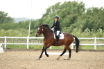 SBM_000463