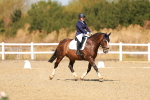SBM_017951
