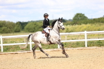 SBM_006520