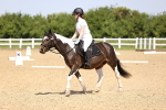 SBM_008596
