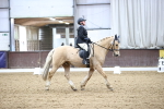 SBM_004498