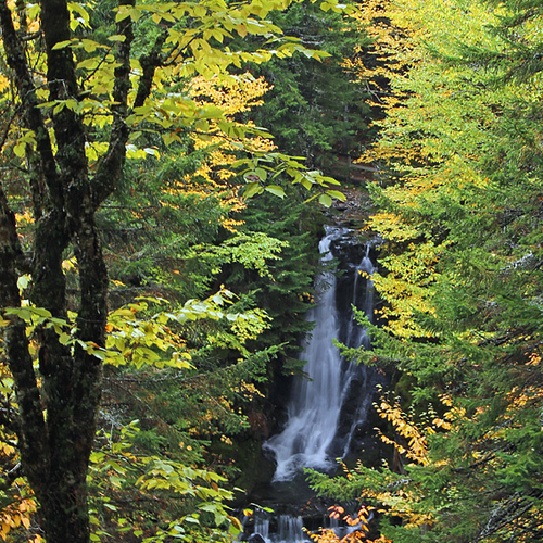 Dickson Falls within Fundy National Park in Albert County, New Brunswick Canada