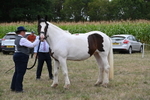 WJ6_5559