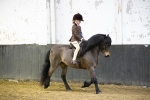SBM_008983