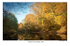 Autumn on Scaur Water, 2009