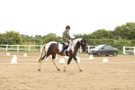 SBM_008656