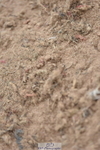 230810A-144344-01301
