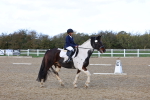 SBM_002210