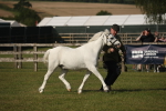 SBM_10377