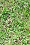 SBM_03314