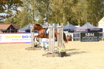 SBM_49394