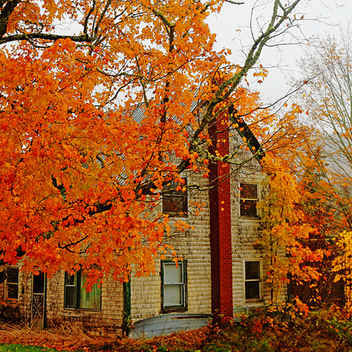 A country home surrounded by autumn colors within Saint John County, New Brunswick, Canada.