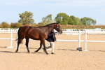 SBM_17678