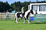 SBM_11366