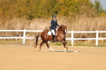 SBM_009292
