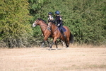 WJ6_7537