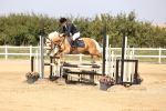 SBM_002953