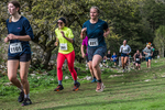 Dovedale-1245