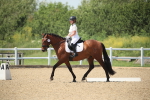 SBM_009599