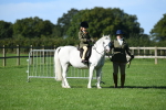 SBM_36740