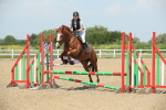 SBM_011717