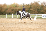SBM_000750