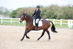 SBM_007209