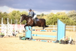 SBM_008816