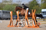 BPP_2597