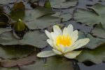 20140526-3K8A1803