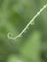 20140529_0040