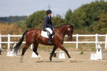 SBM_013761