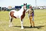 SBM_05542