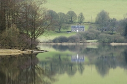 Russellstown Reflection