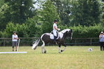 WJ6_7808